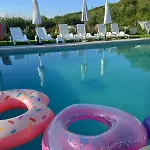 Tacco E Punta Grisi