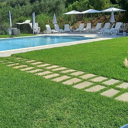 Tacco E Punta Grisi